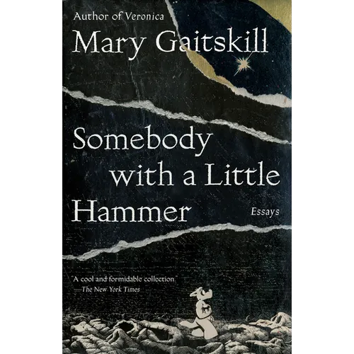 Somebody with a Little Hammer: Essays