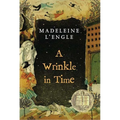 A Wrinkle in Time: (Newbery Medal Winner)