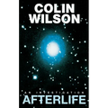 Afterlife: An Investigation