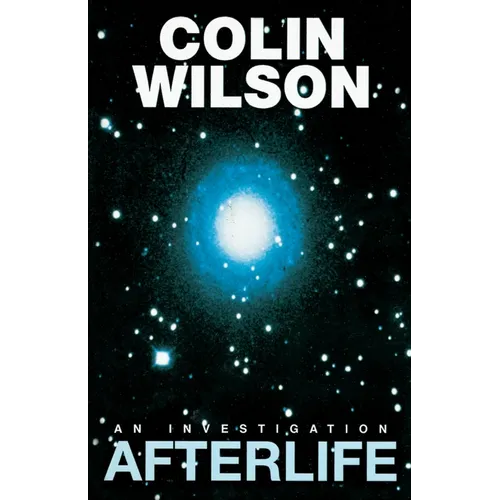 Afterlife: An Investigation