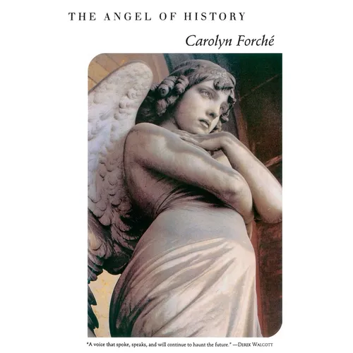 The Angel of History