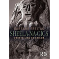Sheela-Na-Gigs: Unravelling an Enigma